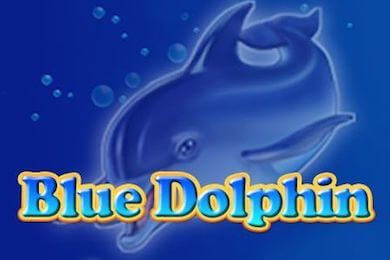 Bluedolphin автомат Кактус Казино